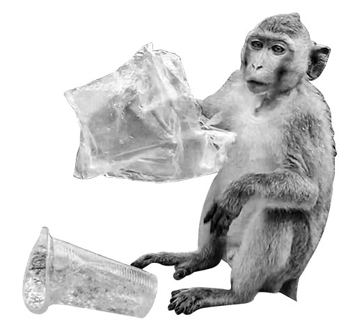 PLASTIC BE GONE